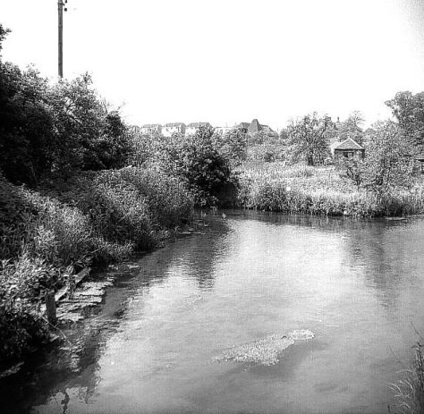 Copy_of_Stonebridge_Pond_lk