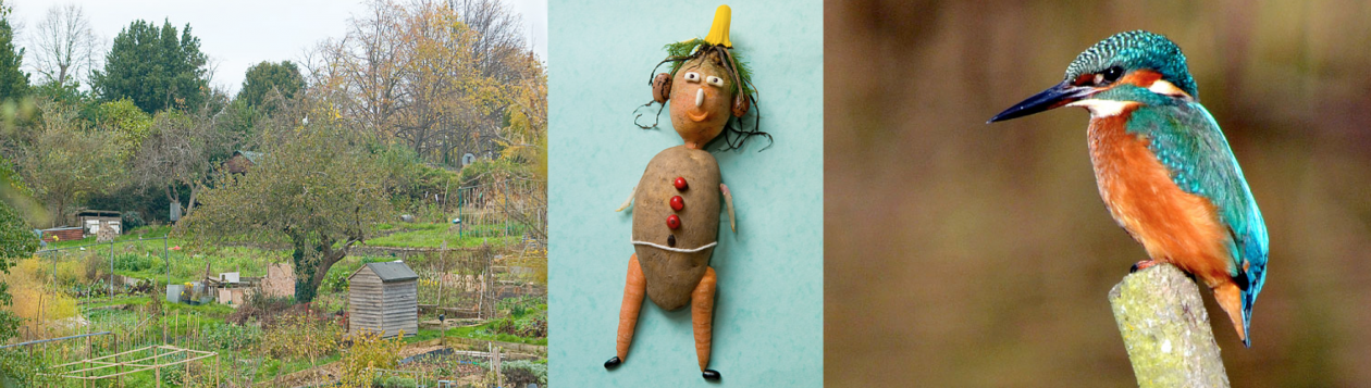 Stonebridge Allotment Society